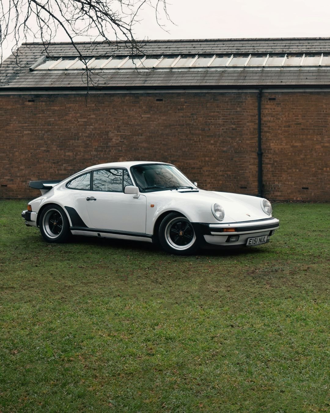 Porshche singer • 2026