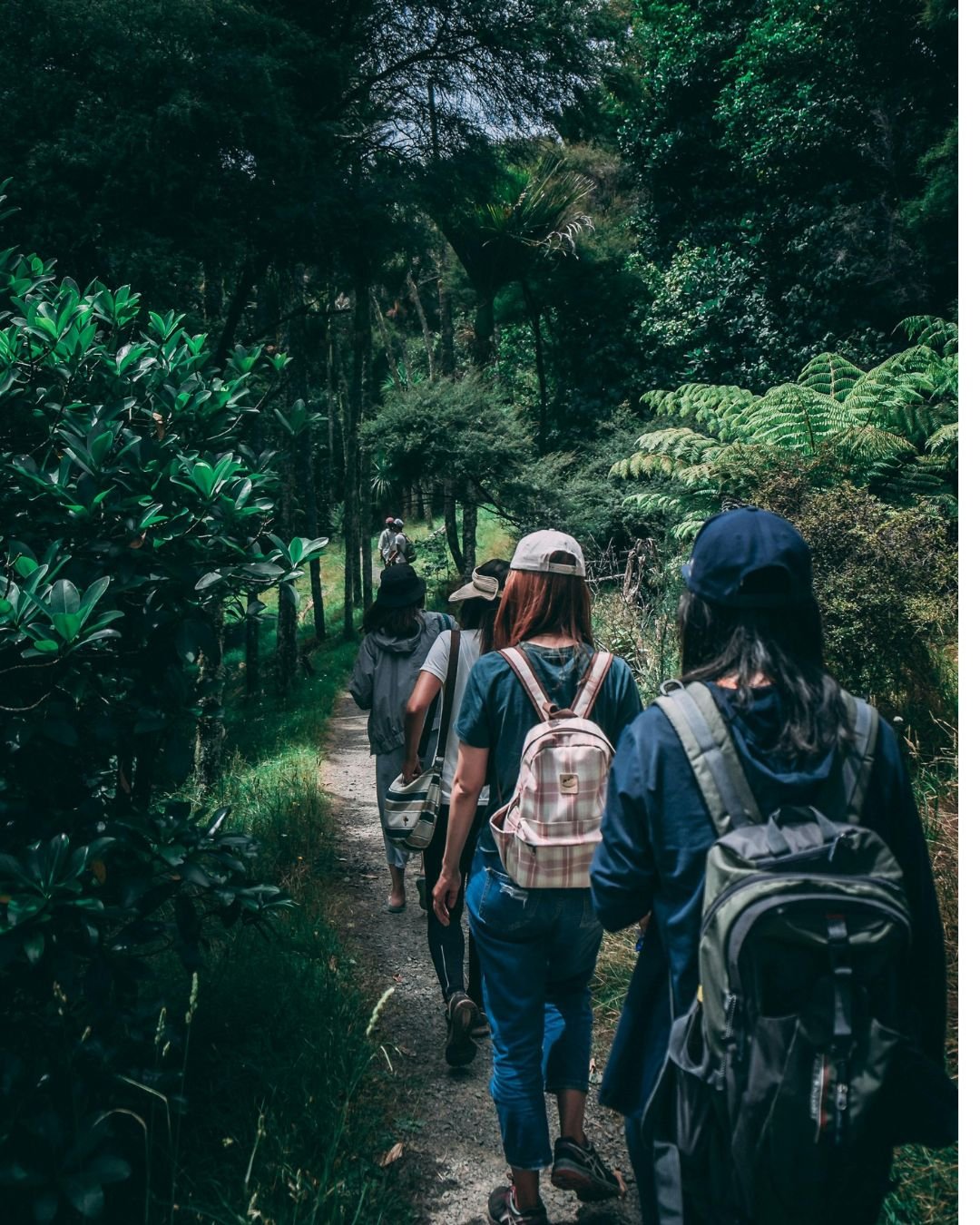 Himalayan Trek Adventure