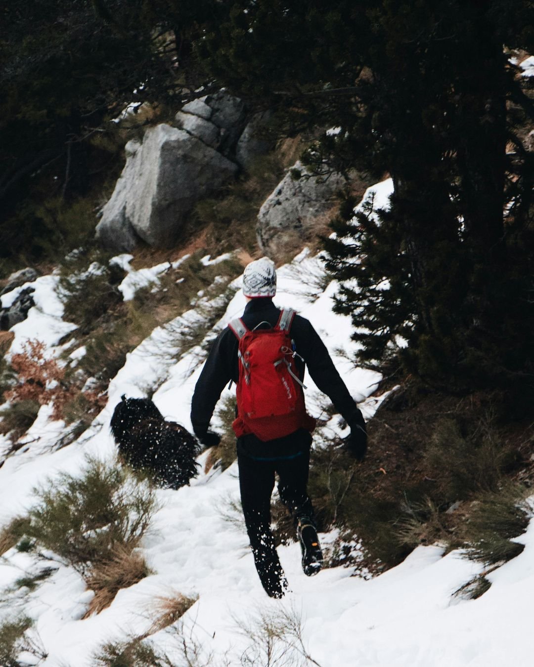 Himalayan Trek Adventure