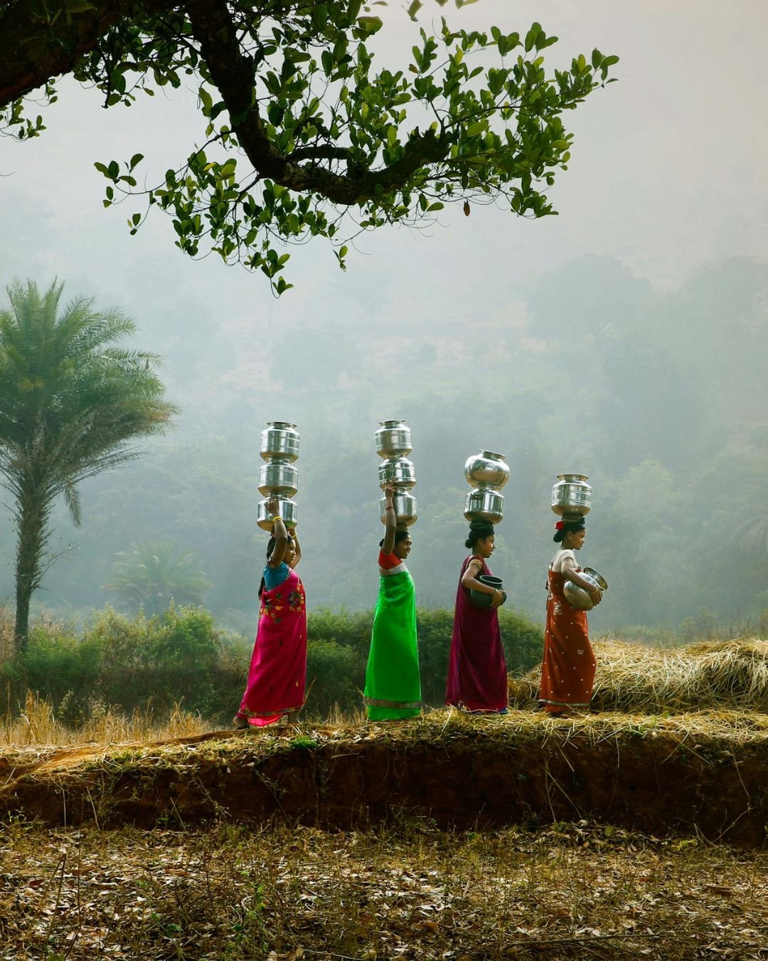 Kerala Backwater Cruise