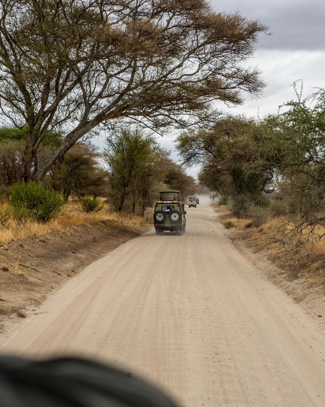 Kaziranga Wildlife Safari