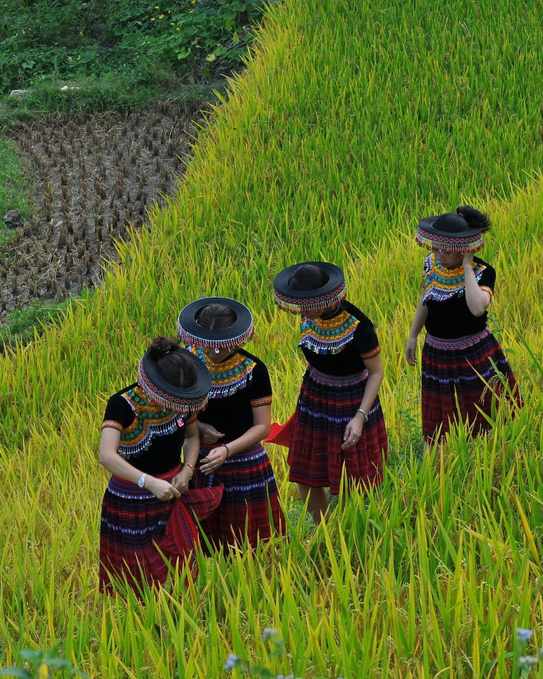 Kaziranga Wildlife Safari