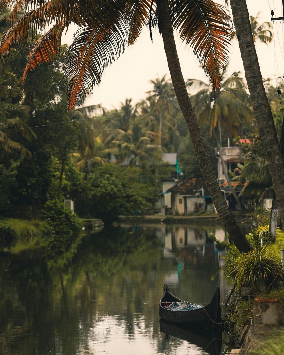 Kerala Backwater Cruise