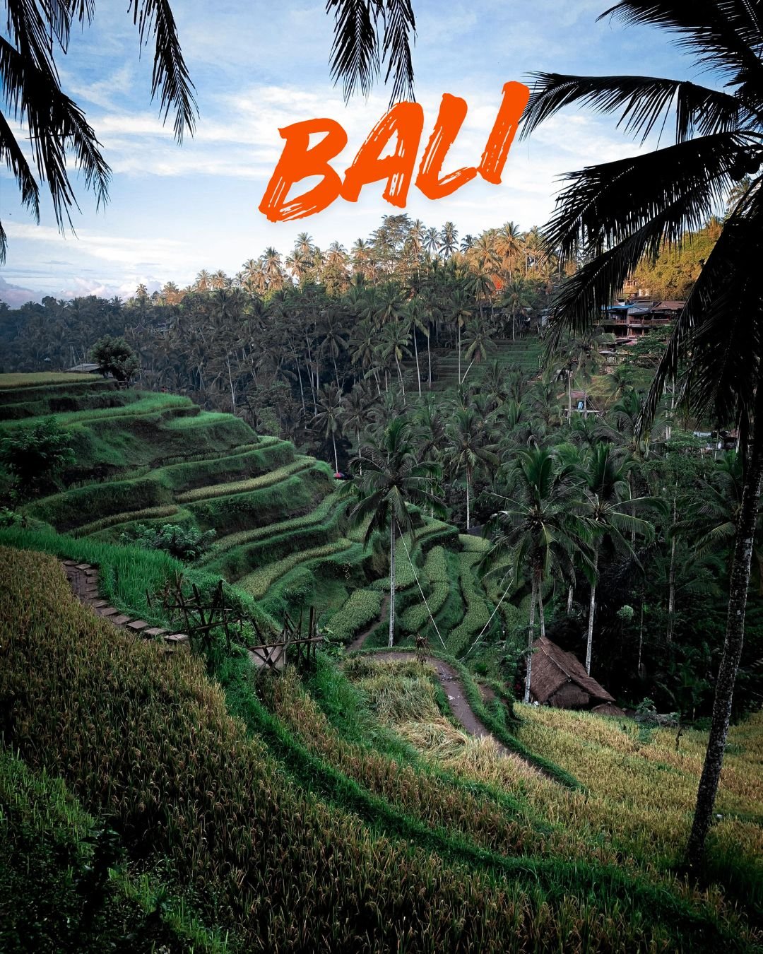 Bali Island